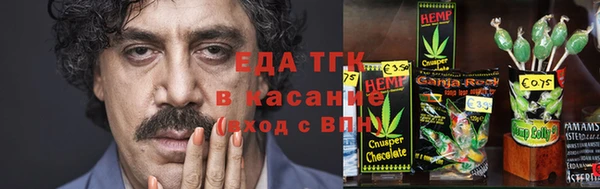 хмурый Алексин