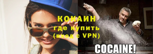 соль ск Абаза