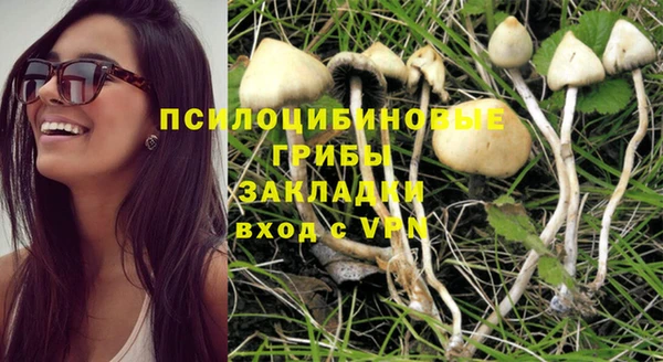 прущий лед Алзамай