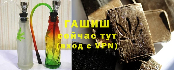 хмурый Алексин
