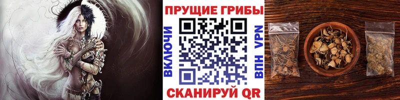Псилоцибиновые грибы Magic Shrooms  Волоколамск 